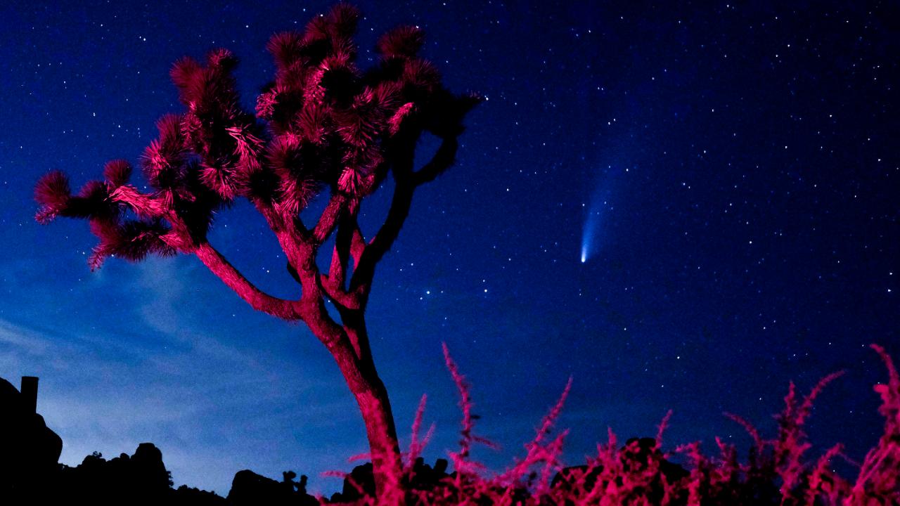 Der Komet Neowise ist heute der Erde am nächsten - der Schwanz ist Millionen von Meilen lang - Führer