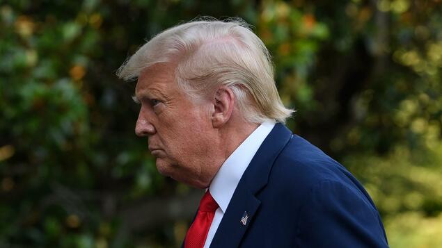 Republikanische Kritik an Trumps Krisenmanagement: "Es war hoffnungslos, auf ihn zu warten" -Politik