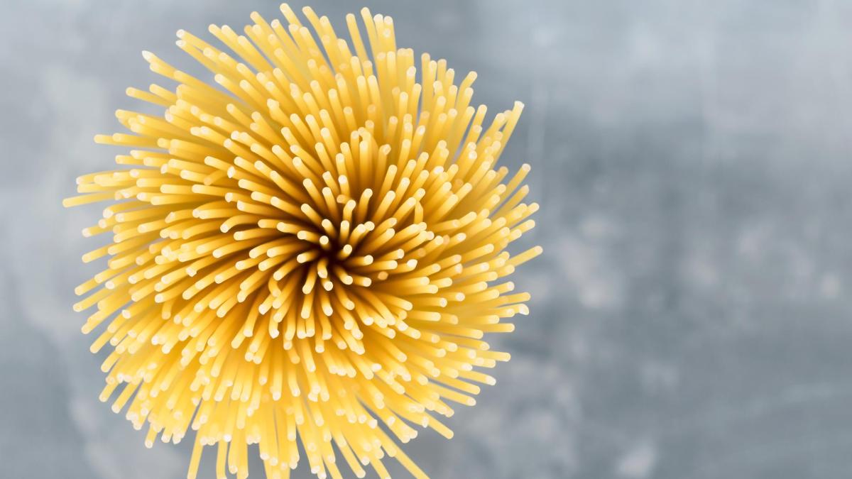 Physik: Das Nudelpuzzle oder warum Spaghetti niemals in zwei Teile zerbricht