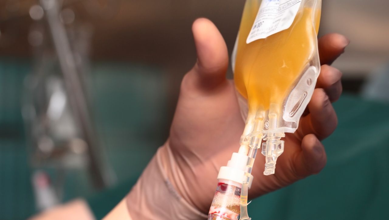 Coronavirus: USA genehmigt Blutplasmabehandlung