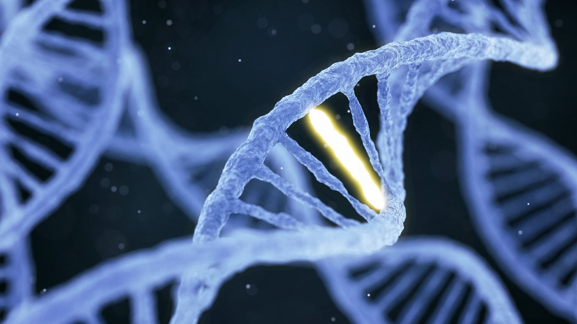 Epigenetik: Psychotherapie für die Gene?