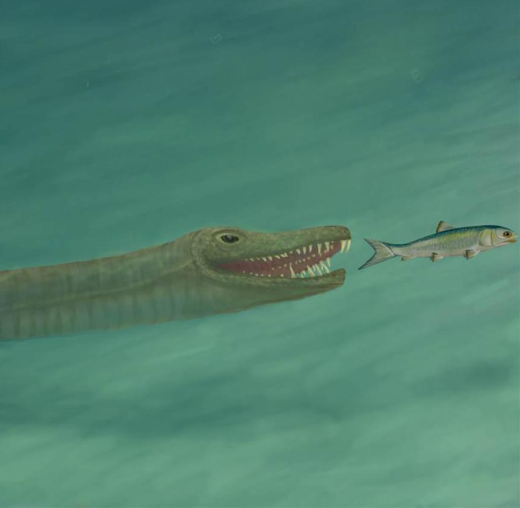 Ein Tanystropheus jagt einen Fisch unter Wasser (Bild)
