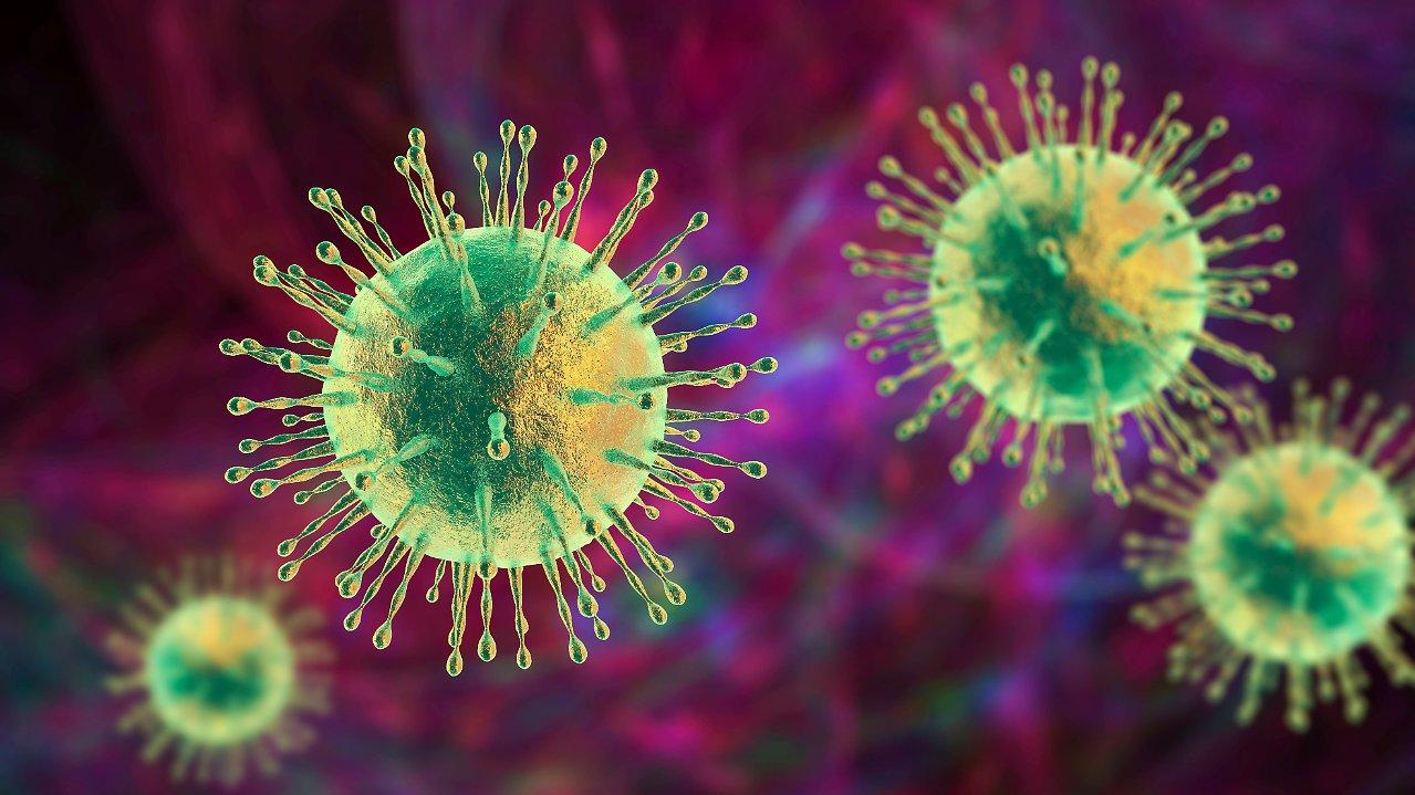 Woher kommt das Corona-Virus?  Forscher rekonstruieren den Ursprung