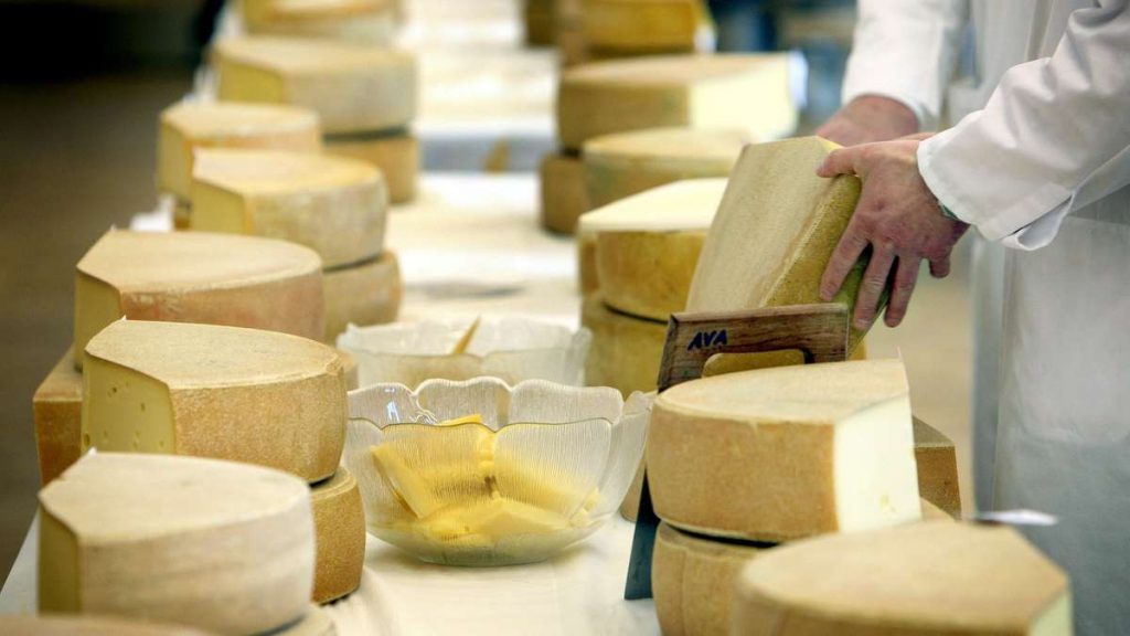 Dringender Käse-Rückruf: Innere Verletzungen drohen - Unternehmen und Discounter-Riese reagieren sofort