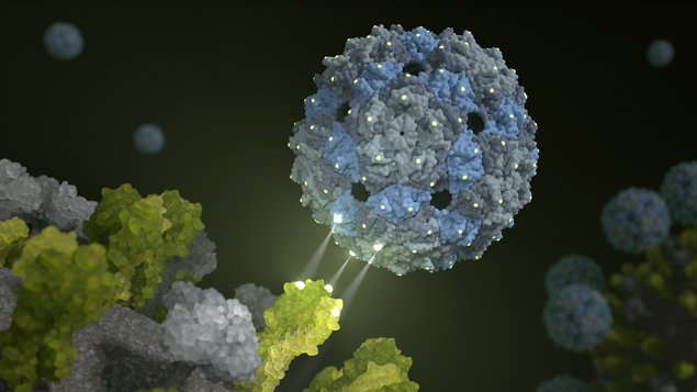 Durchbruch des Jahres: Gezielter Krebs und Viren - Wissen
