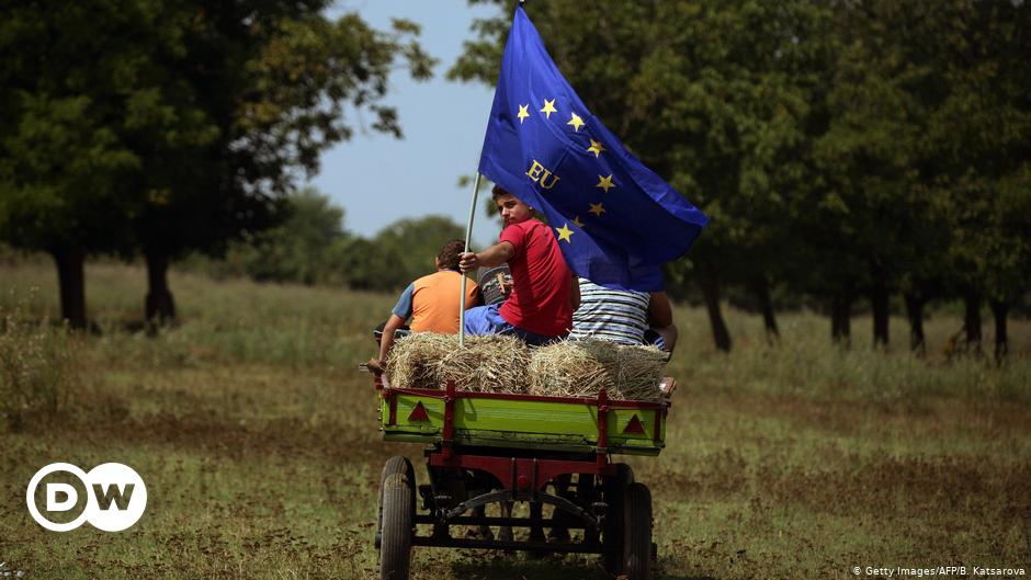 Die ländlichen EU-Bürger sind anti-europäischer und antidemokratischer  Nachrichten |  DW