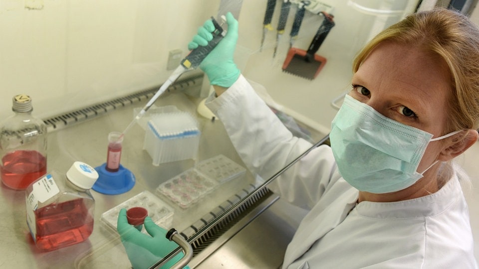 Virologe Pietsch: Mutiertes Koronavirus wahrscheinlich auch in Deutschland
