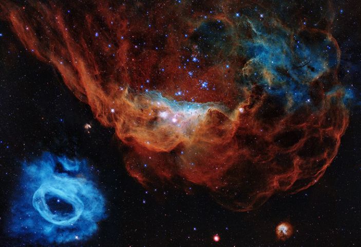 Das Porträt zeigt den Riesennebel NGC 2014 und seinen Nachbarn NGC 2020