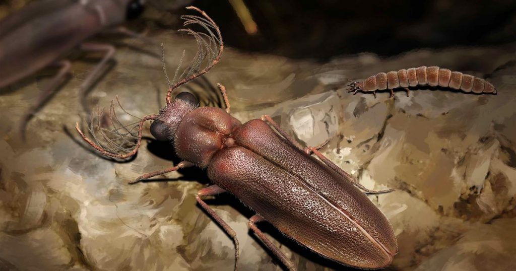 Das 100 Millionen Jahre alte Käferfossil beleuchtet die alte Insektenfamilie