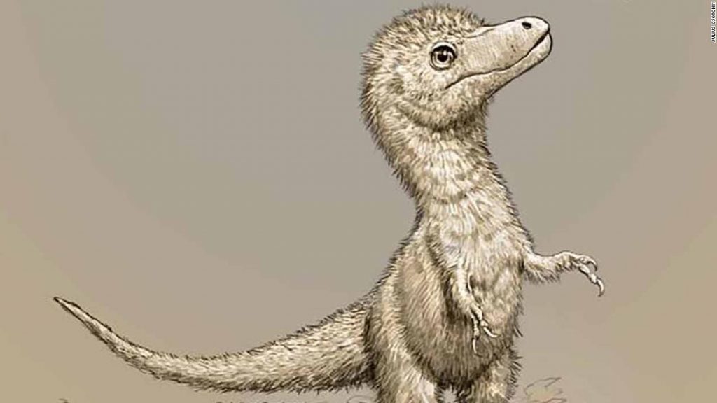 Baby-Tyrannosaurier waren ungefähr so ​​groß wie Hunde, wie neue Studienergebnisse belegen