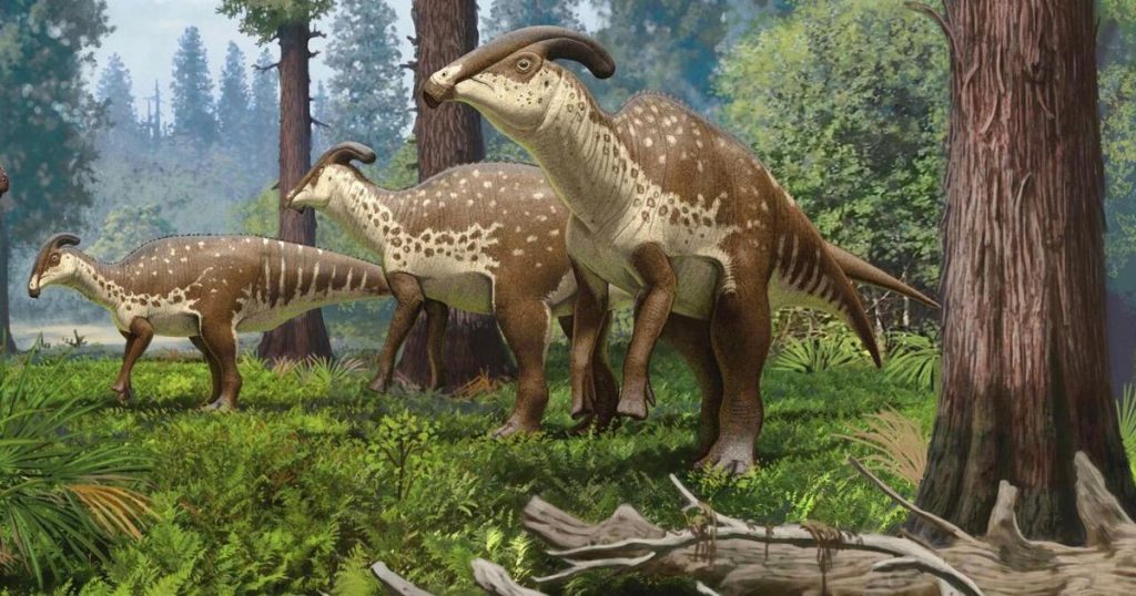 Seltener Dinosaurierschädel beleuchtet das bizarre hohle Steuerrohr der Kreatur