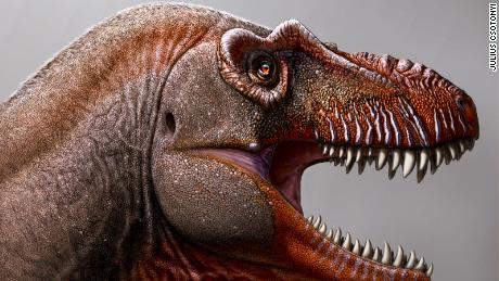 Farmer entdeckt neue Arten von Tyrannosauriern, eine der ältesten ihrer Art, die jemals gefunden wurde