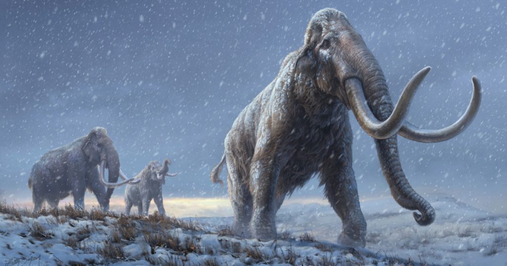 Die älteste DNA der Welt, die aus millionen Jahre alten Mammuts sequenziert wurde  Umweltnachrichten