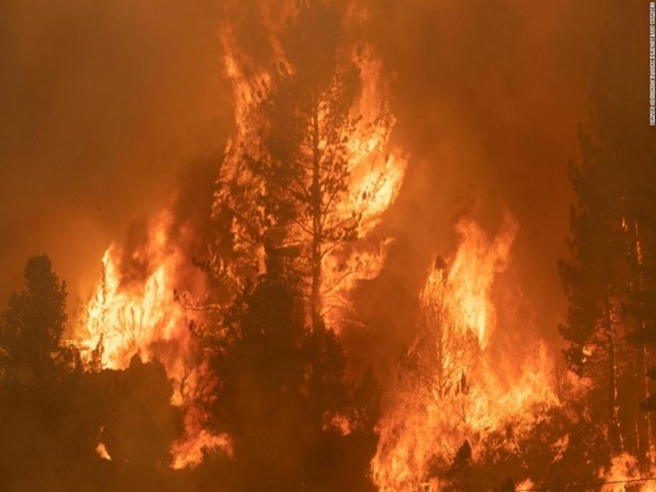 Brände in Griechenland: Auf der Insel Euböa bricht ein neues Feuer aus