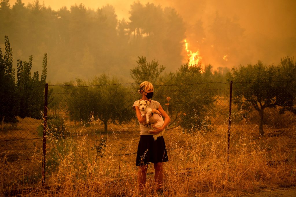 Fotos zeigen verheerende Waldbrände in Griechenland