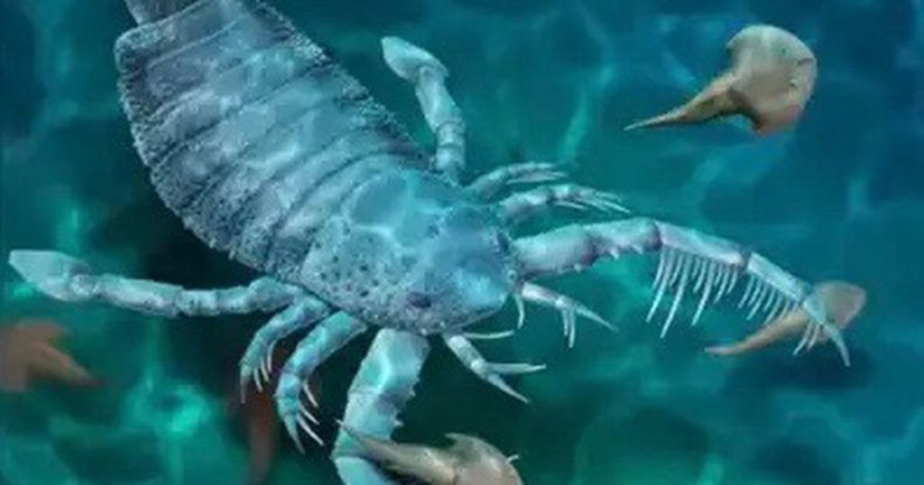 Hundegroßer Skorpion terrorisierte vor 400 Millionen Jahren den Meeresboden