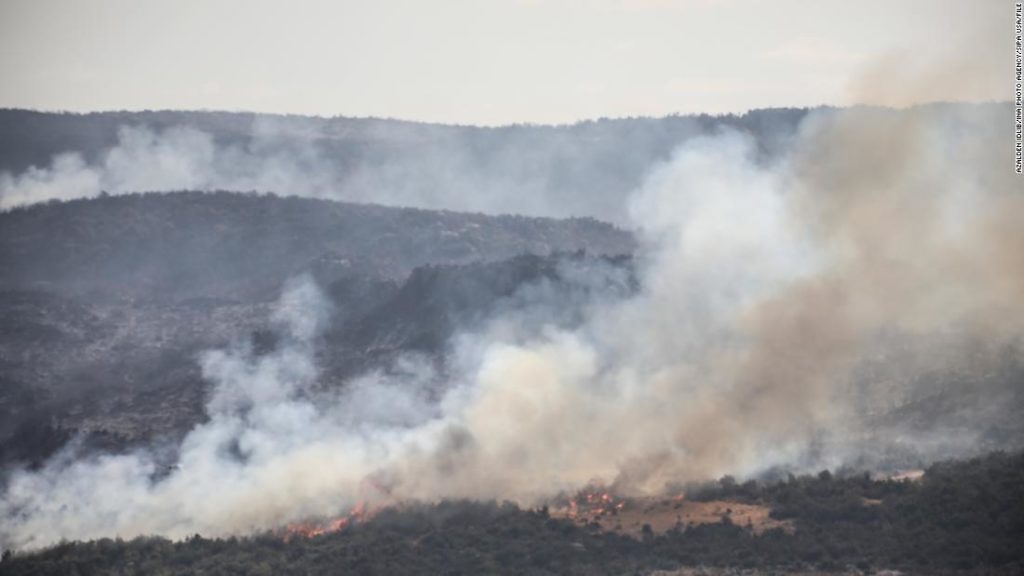 Syrien hinrichtet 24 Menschen, die beschuldigt werden, Waldbrände angezündet zu haben