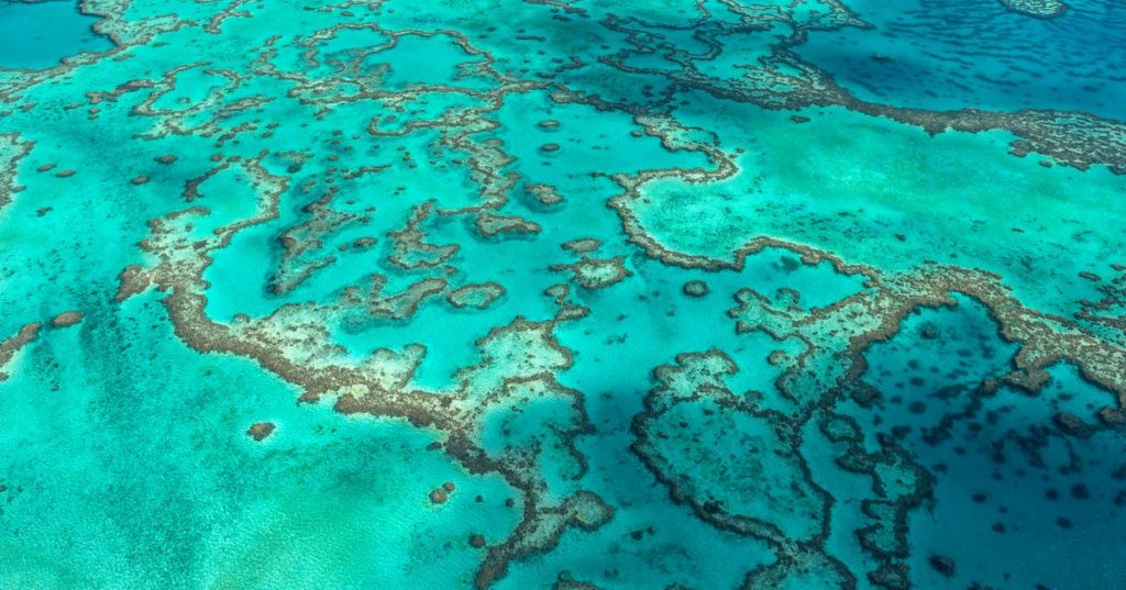 Studienergebnissen zufolge sind nur 2 % des Great Barrier Reef der Korallenbleiche entgangen
