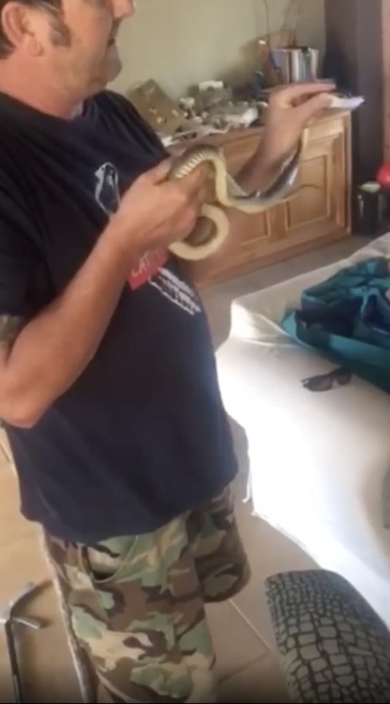 Dem Vater gelang es, die Schlange zu fangen, ohne gebissen zu werden.