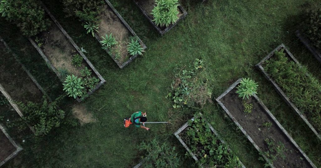 Urban Garden in Rio ernährt Hunderte von Familien im ehemaligen "Bruchland"