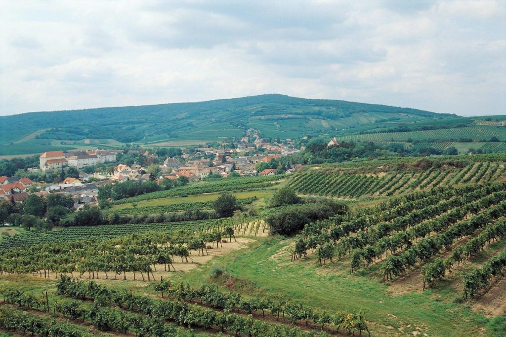 Österreichs Weingüter drängen mit Biodynamik in die Zukunft