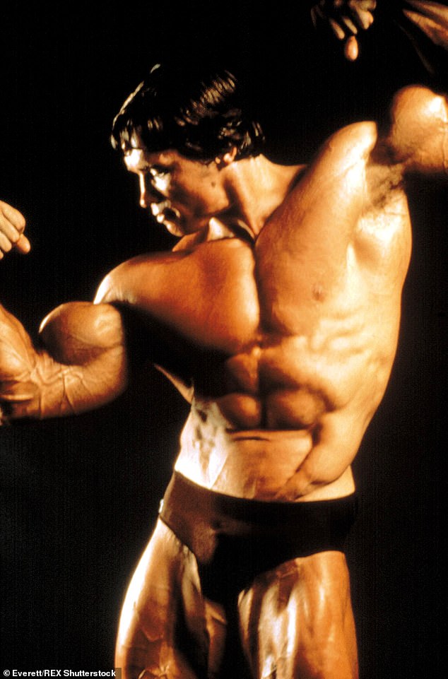 Beeindruckend: Arnold wurde im Bodybuilding als österreichische Eiche berühmt (abgebildet 1976)