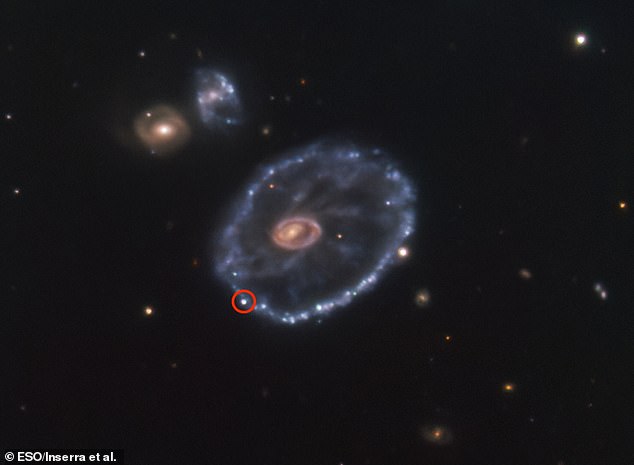 Die Supernova mit dem Namen SN2021afdx ereignete sich in der ungewöhnlich geformten Cartwheel-Galaxie im Sternbild Sculptor