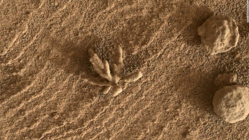 Winzige „Blumen“-Formation, die vom Curiosity-Rover auf dem Mars entdeckt wurde