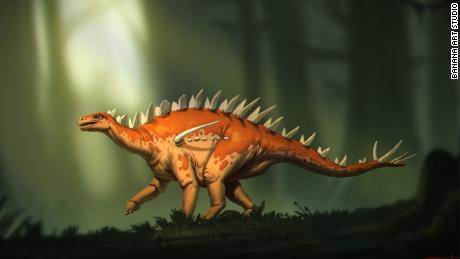 Die Entdeckung von Dinosaurierfossilien könnte der älteste jemals entdeckte Stegosaurus sein