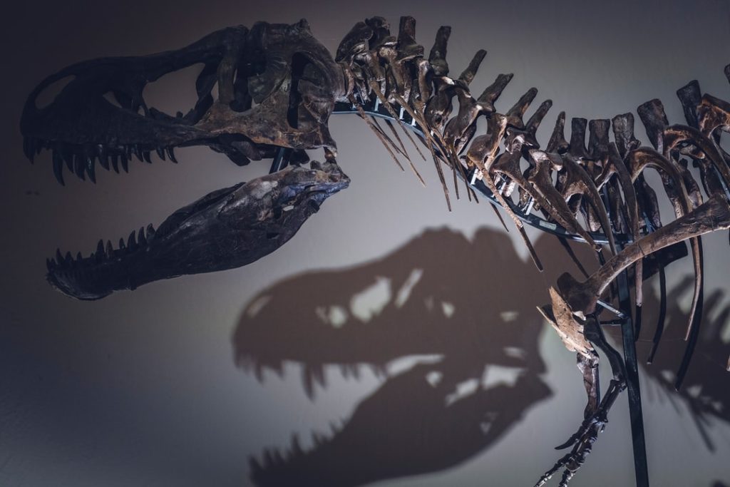 Ein Paläontologe der UC Berkeley stellt eine neue Theorie vor, warum T. Rexes diese Handfeuerwaffen hatten