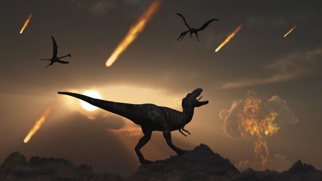 Wie haben Kakerlaken den Einschlag des Dinosaurier-tötenden Asteroiden überlebt?