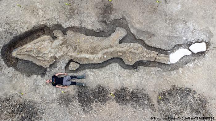 Ein Mann, der neben dem entdeckten Ichthyosaurier-Fossil liegt 