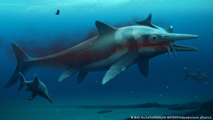 Illustration eines Ichthyosauriers, der mit einem kleineren Tier im Maul im Meer schwimmt 