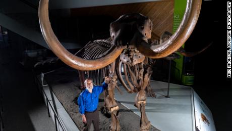 Der Paläontologe Daniel Fisher von der University of Michigan steht vor einem montierten Skelett des Büsching-Mastodons.