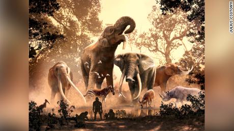 Moderne Elefanten überlebten den uralten Klimawandel.  Mehr als 180 andere Arten, einschließlich Mastodons, haben keine