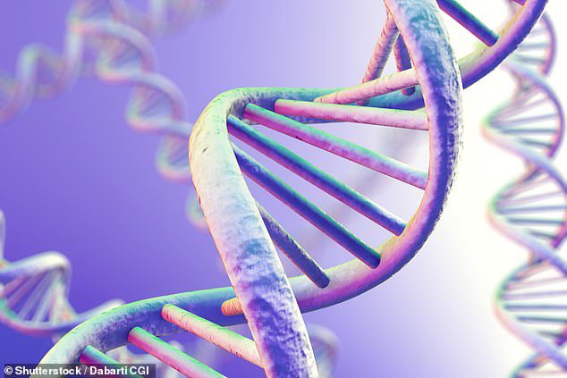 Damit sich DNA und RNA bilden können, werden zwei Arten von chemischen Bausteinen – oder Nukleobasen – benötigt