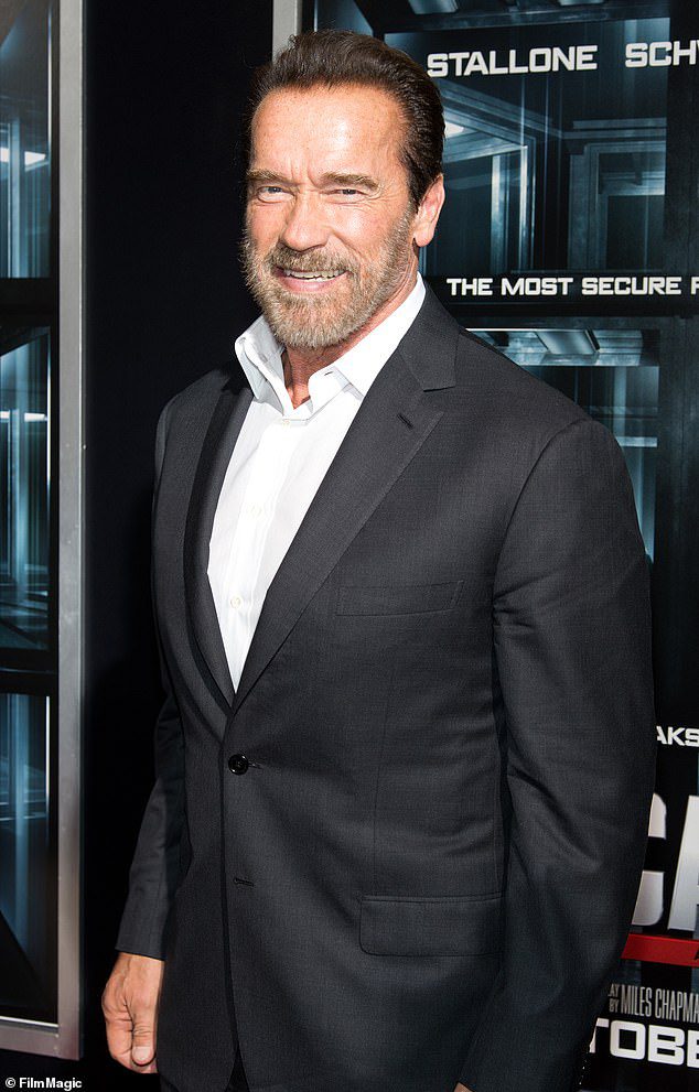 Angehängt: Schwarzenegger ist auch an der Hauptrolle in The Legend of Conan beteiligt, wo er als alternder König Conan zurückkehren wird, obwohl unklar ist, wann dies voranschreiten wird