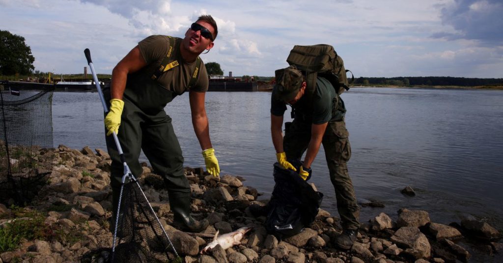 Deutschland und Polen suchen nach der Ursache für das massive Fischsterben in der Oder