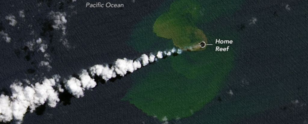 Nach einem Unterwasserausbruch ist im Pazifik eine neue Insel aufgetaucht: ScienceAlert