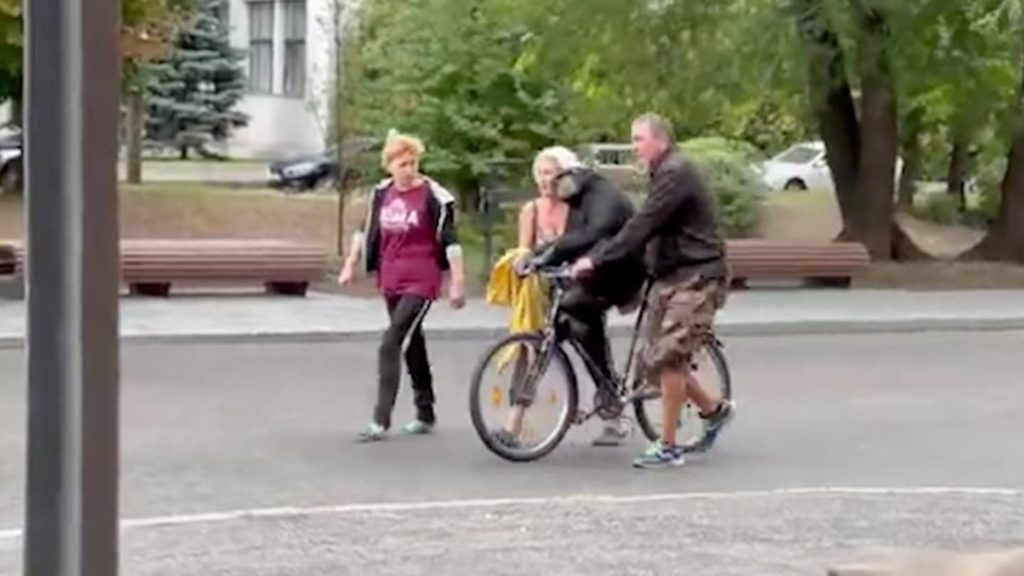 Schimpanse entkommt aus dem Zoo von Charkiw und kehrt im Regenmantel auf dem Fahrrad zurück