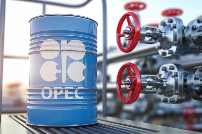 Die OPEC+ plant, eine Produktionskürzung von 1 Million Barrel zu erörtern, da sich die Nachfrage verlangsamt