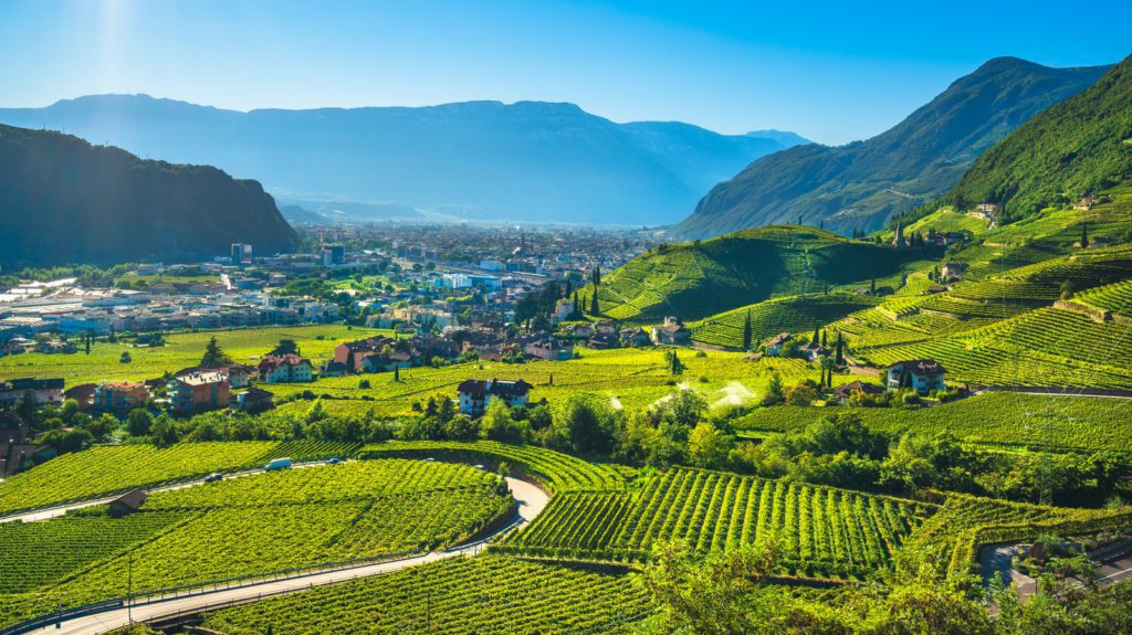 Der Einsteigerführer für die Weinregion Südtirol in Italien