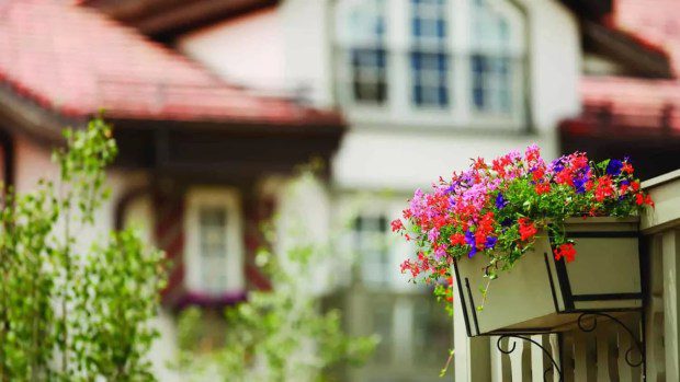 Die Blumenkästen im Hotel Sonnenalp und anderen Betrieben und Wohnhäusern im Vail Village erinnern an Alpendörfer.  (Bereitgestellt von Sonnenalp)