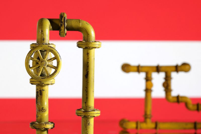 FILE PHOTO: Illustration shows natural gas pipeline and Austria flag